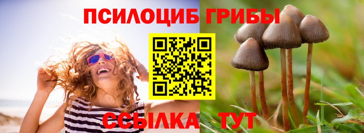 Галлюциногенные грибы GOLDEN TEACHER Семилуки